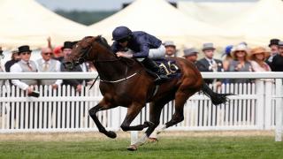 Betfair Ambassador Ryan Moore at Royal Ascot